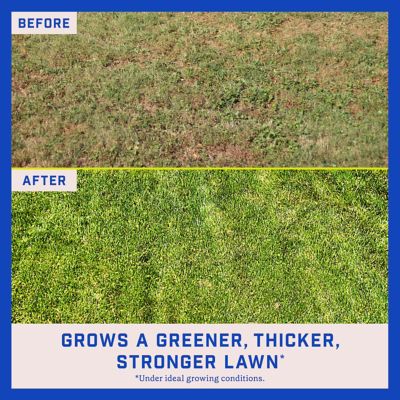 Image showing  35 lb. 4,375 sq. ft. Lawn Booster Sun and Shade Mix Grass Seed and Fertilizer