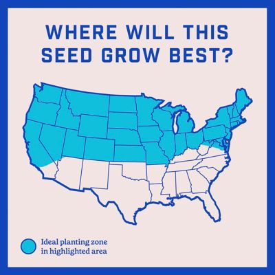 Image showing 6 th Pennington 35 lb. 4,375 sq. ft. Lawn Booster Sun and Shade Mix Grass Seed and Fertilizer