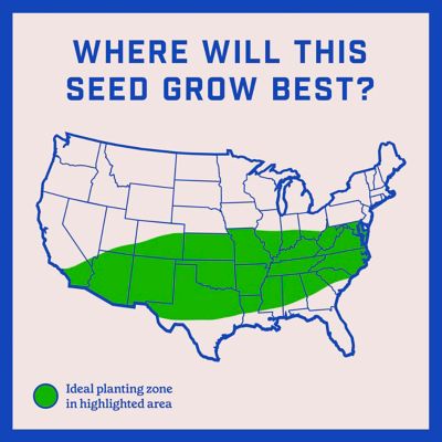 Image showing 6 th Pennington 35 lb. 4,375 sq. ft. Lawn Booster Tall Fescue Grass Seed and Fertilizer