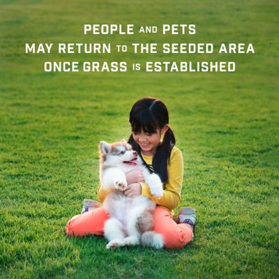 Image showing 9 th Pennington 35 lb. 4,375 sq. ft. Lawn Booster Tall Fescue Grass Seed and Fertilizer