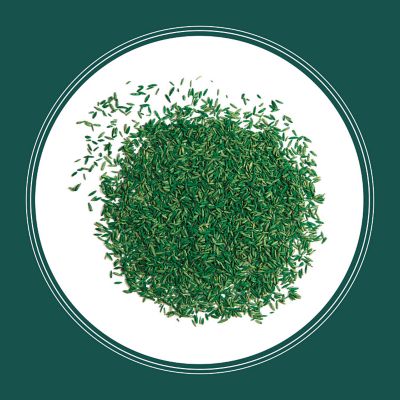 Image showing  20 lb. 6,660 sq. ft. Smart Seed Sun and Shade Mix PC Grass Seed