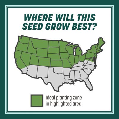 Image showing 5 th Pennington 20 lb. 6,660 sq. ft. Smart Seed Sun and Shade Mix PC Grass Seed