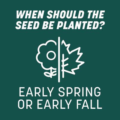 Image showing 6 th Pennington 20 lb. 6,660 sq. ft. Smart Seed Sun and Shade Mix PC Grass Seed