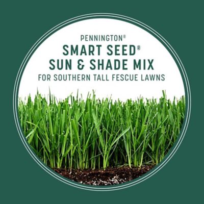 Image showing  20 lb. 5,000 sq. ft. Smart Seed Sun and Shade Mix PC Grass Seed, South