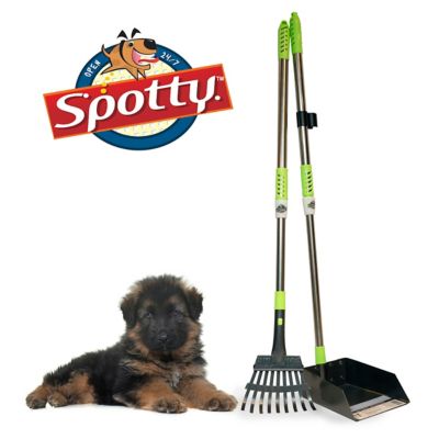 Spotty Telescoping Tray and Rake Pooper Scooper, Extendable Up to 43 in.