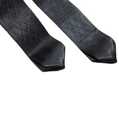 Image showing  10 ft. Tree Strap