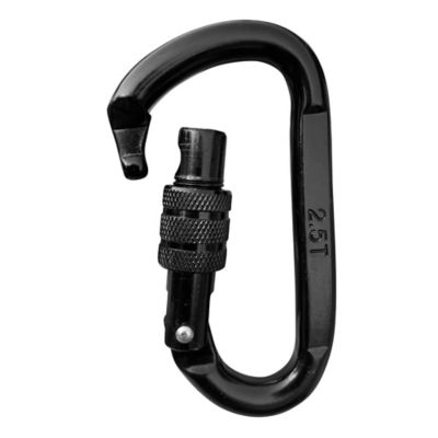 Image showing  Carabiner Swing Accessory