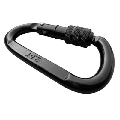 Image showing  Carabiner Swing Accessory
