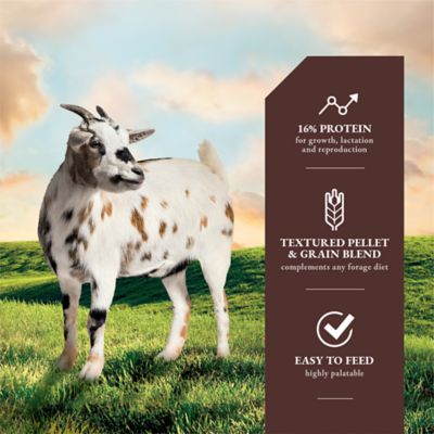 Image showing  Textured Goat Sweet Feed