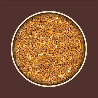 Image showing  Textured Goat Sweet Feed