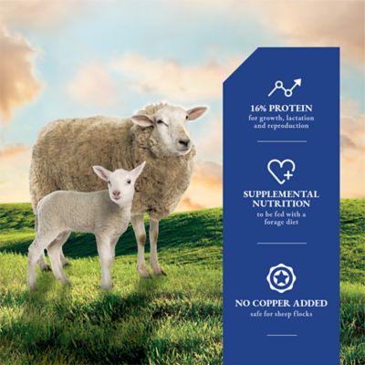 Image showing  Pelleted Lamb and Ewe Feed