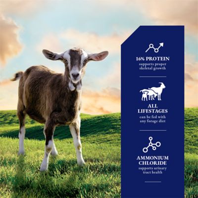 Image showing  Pelleted Goat Feed