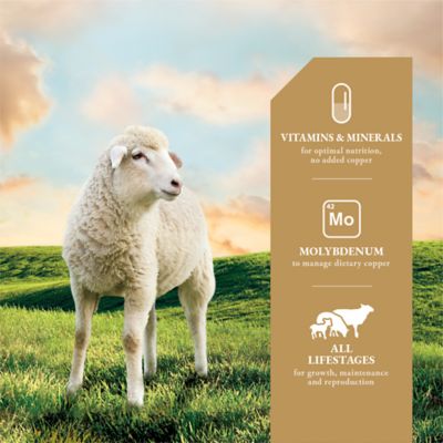 Image showing  Sheep Mineral Feed Supplement