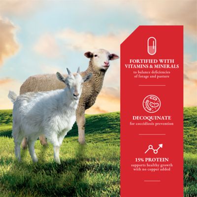 Image showing  Medicated Pelleted Sheep and Goat DX Feed