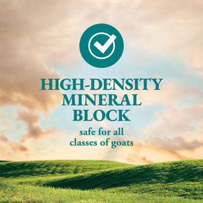 Image showing  Goat Mineral Block