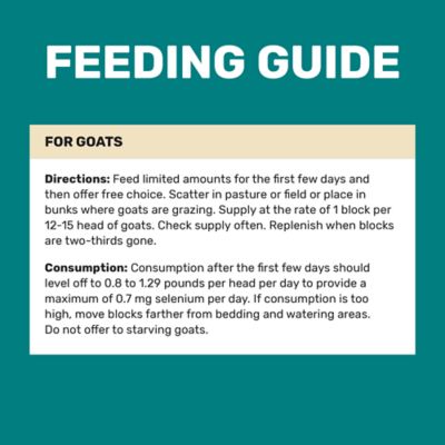 Image showing  Goat Mineral Block