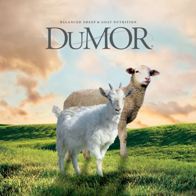 Image showing  Sheep and Goat Supplement Feed Block