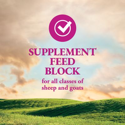 Image showing  Sheep and Goat Supplement Feed Block