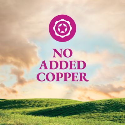 Image showing  Sheep and Goat Supplement Feed Block