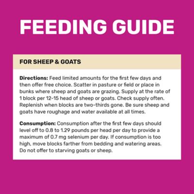 Image showing  Sheep and Goat Supplement Feed Block