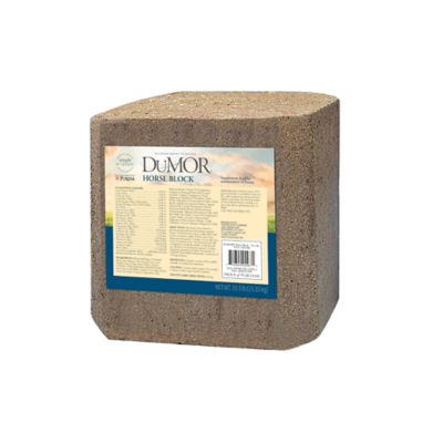 DuMOR Horse Block, 33 lb.