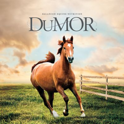 Image showing  Horse Supplemental Block, 33.3 lb.