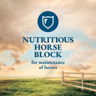 Image showing  Horse Supplemental Block, 33.3 lb.