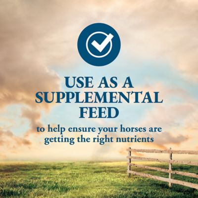 Image showing  Horse Supplemental Block, 33.3 lb.