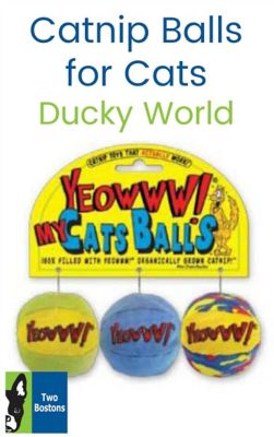 duckyworld catnip toys