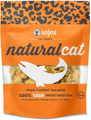 homemade cat treats no fish