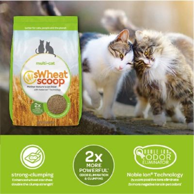 Swheat Scoop Mother Nature S Clumping Wheat Multi Cat Cat Litter 25 Lb Bag At Tractor Supply Co