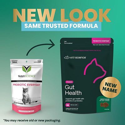 Image showing  Gut Health Probiotic Everyday Feline, 60 Soft Chews