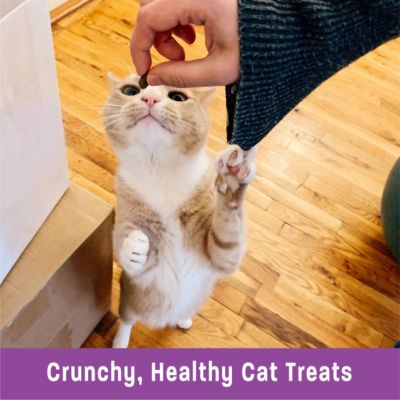 Image showing  Complete Health Kittles Grain-Free Tuna and Cranberry Flavor Crunchy Cat Treats, 6 oz.