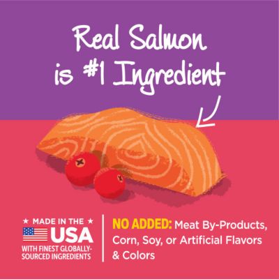 Image showing  Complete Health Kittles Grain-Free Salmon and Cranberry Flavor Crunchy Cat Treats, 6 oz.