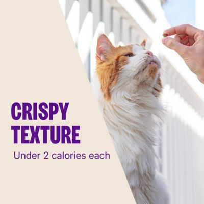 Image showing 5 th Wellness Complete Health Kittles Grain-Free Salmon and Cranberry Flavor Crunchy Cat Treats, 6 oz.