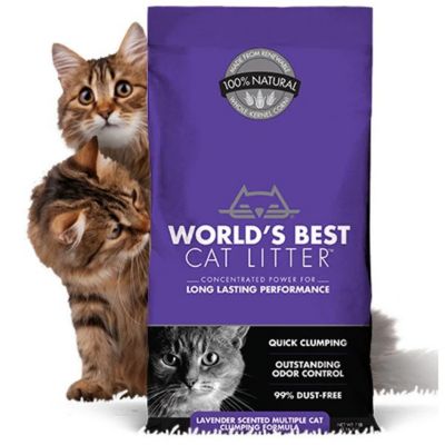 world's best cat litter sale