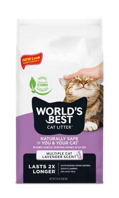 world's best cat litter sale