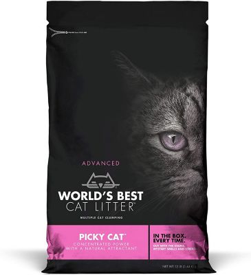 the best cat litter