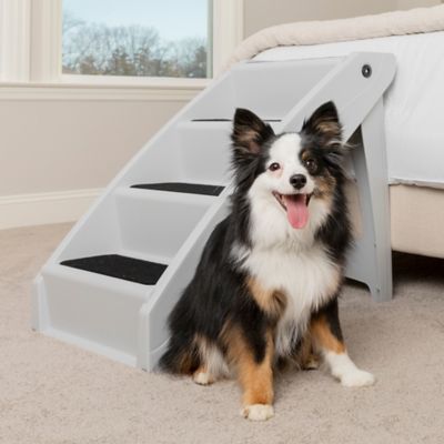 PetSafe CozyUp Folding Pet Stairs, ZTV00-17045