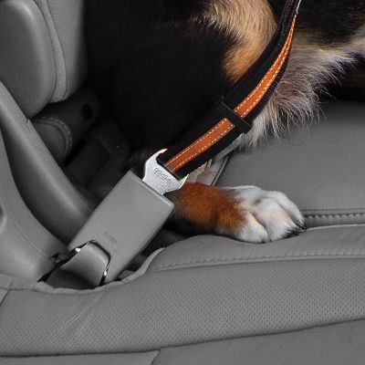 Image showing 6 th Kurgo Direct to Dog Seatbelt Swivel Tether, Orange
