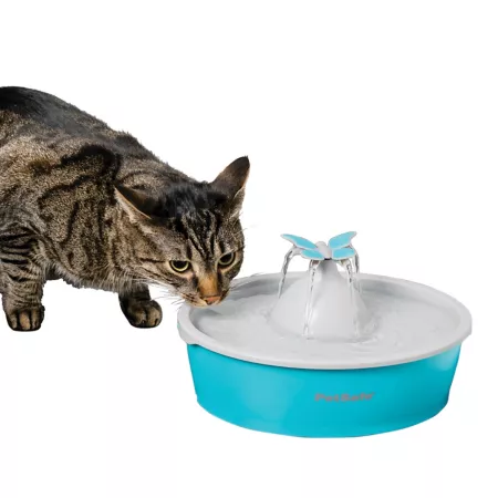 PetSafe 50 oz Drinkwell Butterfly Plastic Pet Water Fountain Pet Waterers & Fountains