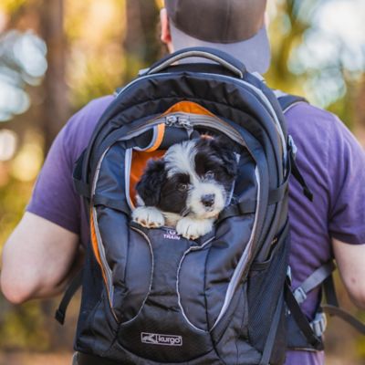 Image showing 5 th Kurgo G-Train Small Polyester Dog Carrier Backpack for Hiking, Camping or Travel, Black