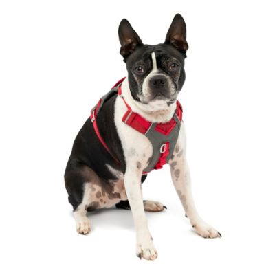 Image showing  Journey Reflective Air Dog Harness
