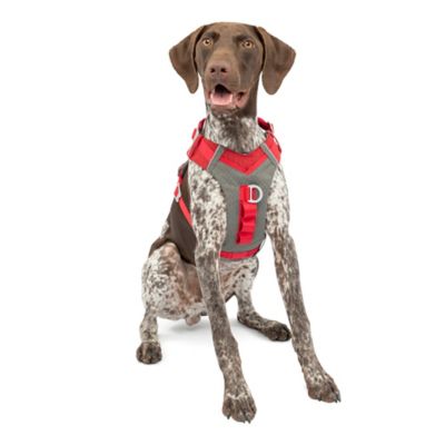 Kurgo Journey Reflective Air Dog Harness