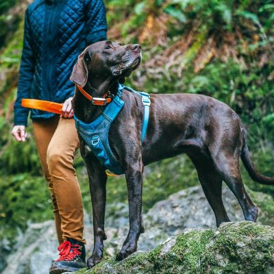 Image showing  Journey Reflective Air Dog Harness