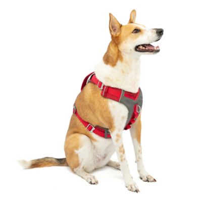 Kurgo Journey Reflective Air Dog Harness