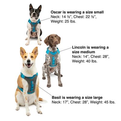 Image showing 8 th Kurgo Journey Reflective Air Dog Harness