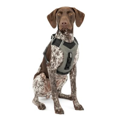 Kurgo Journey Reflective Air Dog Harness