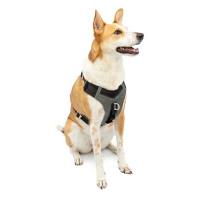Kurgo Journey Reflective Air Dog Harness