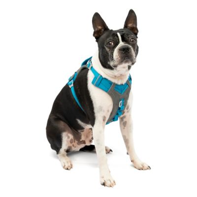 Kurgo Journey Reflective Air Dog Harness